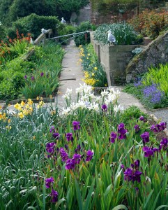 Alcatraz Gardens in Spring (A Garden Conservancy Project)