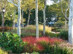 Bosque Garden (Battery Conservancy photo)