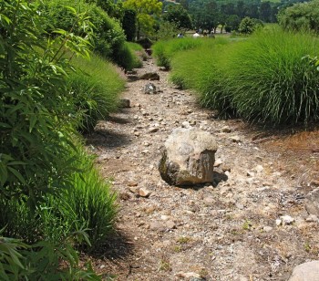 Matanzas - dry stream bed (Alice Joyce photo)