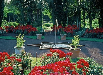 Garden in Red - Photo courtesy Jardin de l'Alchimiste