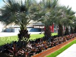 Resnick Pavilion Irwin Palm Garden Photo © Alice Joyce