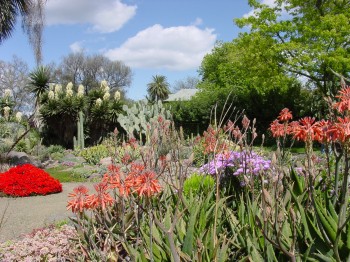 Bancroft Garden (Photo: Brian Kemble)