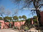 Arizona Inn Succulents Photo © Alice Joyce